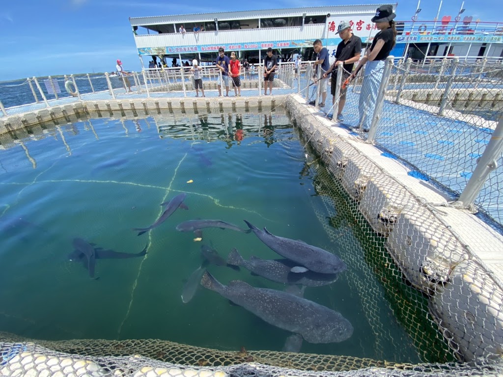 澎湖旅遊-海洋牧場